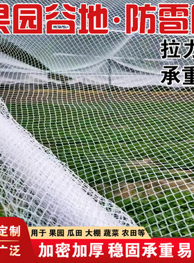 聚乙烯防冰雹网果园农用网防鸟网