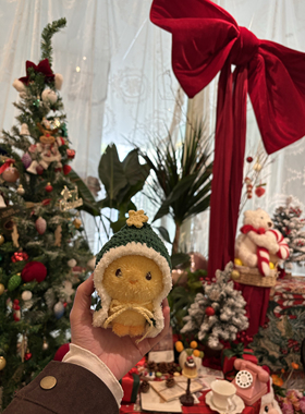 Shinee李泰民娃娃泰玛丽Taemari 手工钩织头套帽子小鸡钥匙扣