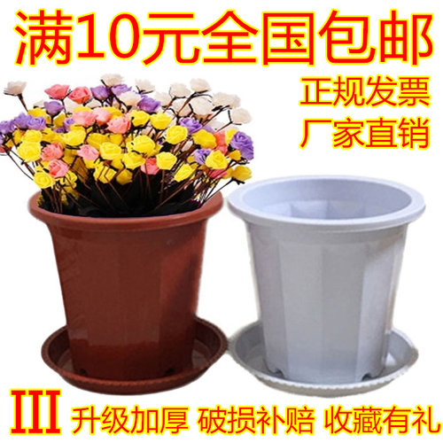 新款陶瓷特价绿萝简约风多肉花盆