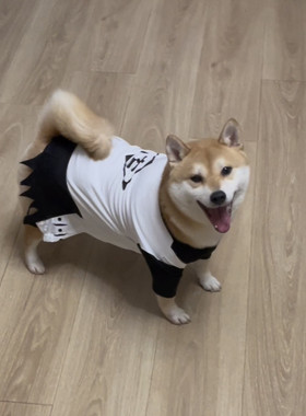 动漫死神bleach狛村左阵柴犬cos服手工宠物服装