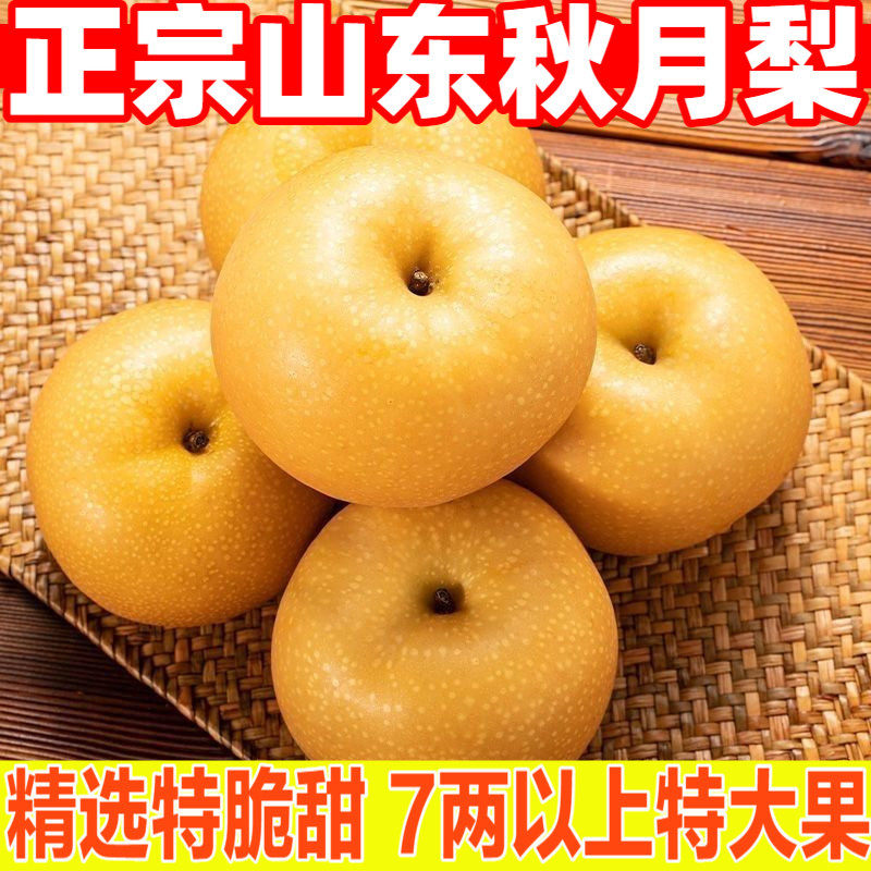 秋月梨精品大果自然成熟少粗渣蜜甜多汁老少皆宜鲜果