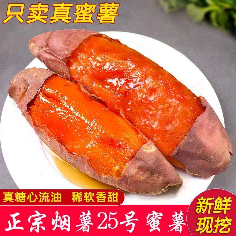 山东烟薯25号糖心红薯新鲜农家地瓜番薯沙地烤薯同款蜜薯包邮