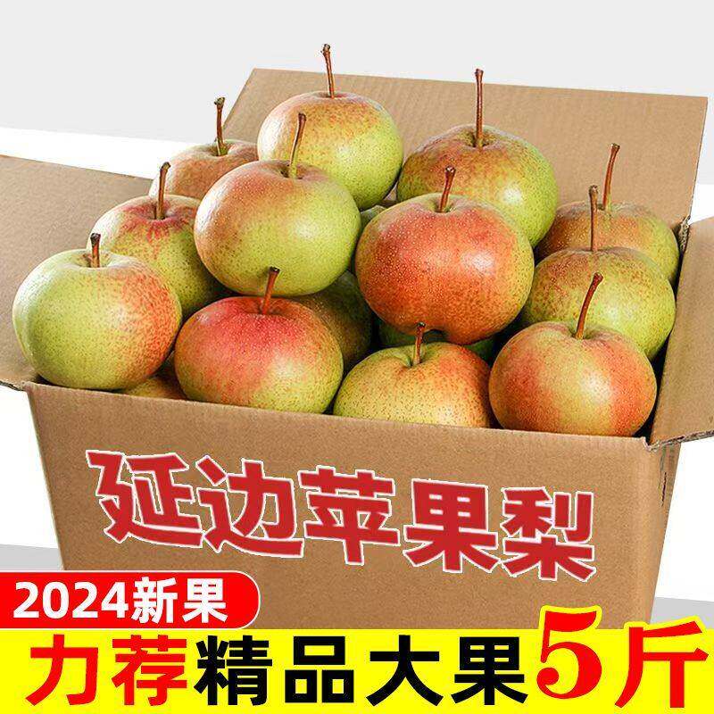 辽宁苹果梨新鲜水果北方果园现采汁水丰盈口感脆爽耐储存鲜果