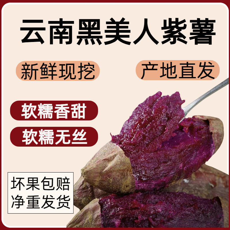 农家新鲜紫薯田间现挖紫心果肉粉糯不干日常主食番薯