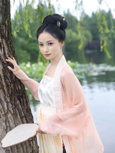 九色鹿丨簪花阁汉服定制丨唐宋明真丝顺纡飞机袖套装春夏日常款