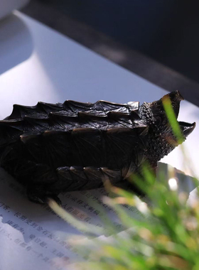 铁拳匠造 秋坞居联合出品 青铜精工 鳄龟 手把件