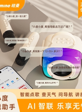 纽曼M81蓝牙音箱家用无线k歌音响型家庭ktv话筒麦克风户外唱歌小
