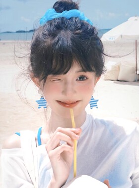夏日条纹蓝色星星耳环