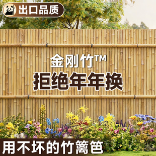 【金刚竹】竹篱笆栅栏围栏碳化防腐造景户外花园装饰竹子庭院隔断