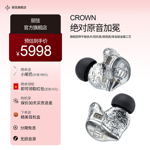 丽弦皇冠VSAPM入耳式有线耳机