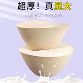 乳胶胸垫插片加厚显胸大内衬小胸平胸专用文胸罩美背内衣假胸替换