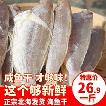 北海 咸鱼干货 风干 腌制 野生 海鲜特产 红三鱼干 整条 去头500g