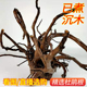 造景杜鹃根 鱼缸水族装 印山红根 莫斯树流木爬宠箱 饰 沉木 已煮