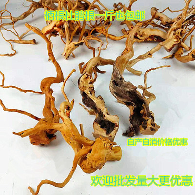 杜鹃根树形沉木造景树根鱼缸