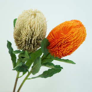 班克木自然系仿真植物家居摆放花艺北欧拍摄道具装饰插花婚礼花束