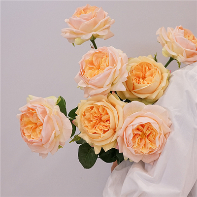 雪莉仿真花餐桌花奥斯汀玫瑰单支
