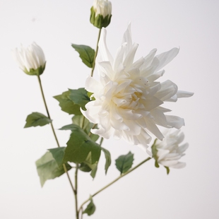 白色仿真花单支4头艾莎大理花装饰花艺家居客厅卧室桌面摆放假花