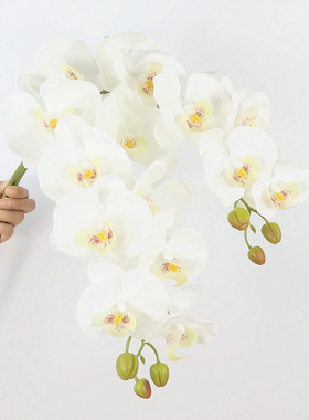 高品质手感9头蝴蝶兰 仿真单枝假花北欧餐桌装饰花艺软装婚庆插花