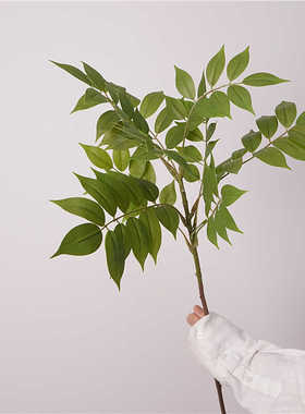 高质仿真绿植手感香椿叶漆木枝家居植物软装陈设花艺造景摄影道具