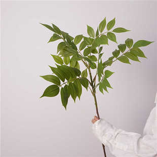 高质仿真绿植手感香椿叶漆木枝家居植物软装陈设花艺造景摄影道具