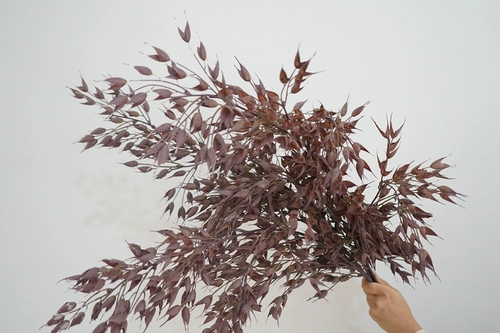 Высококачественное симуляция цветочного одиночного овсяного овсяного овсяного дома