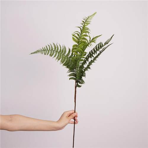 仿真绿植大蕨叶波斯叶隔断花槽