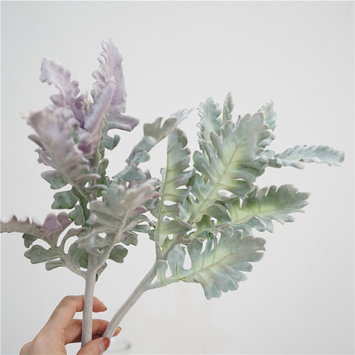 银叶菊欧式植绒叶材高质婚庆花艺