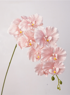 雪莉仿真花落地装饰假花蝴蝶兰