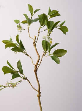 仿真花 野菊花小藤枝 枝条带叶客厅装饰摆件北欧简约假花家居绿植