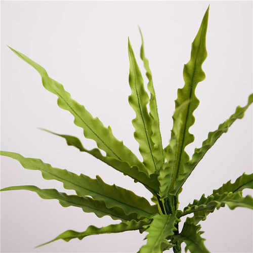 雪莉客厅摆件园艺插花真多肉植物