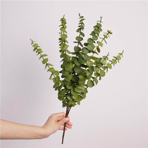 尤加利叶干花花束ins北欧风