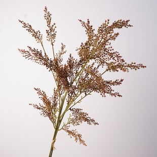 仿真蒲苇高粱干花枝装饰家居客厅卧室熟女风自然风摆件
