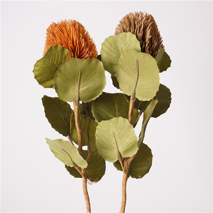 秋色系列仿真花单枝班克木家居客厅装饰品北复古插花摆件塑料假花