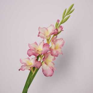 仿真花剑兰小清新婚庆背景装饰插花花束居家轻奢摄影摆件花艺批发