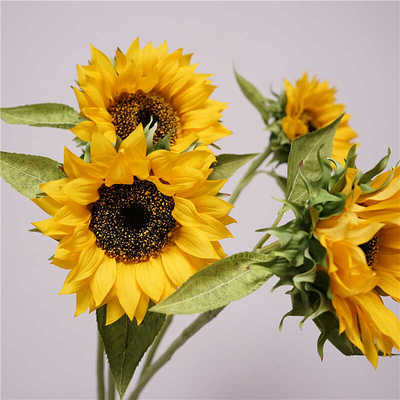 中国园艺手感保湿高品质向日葵