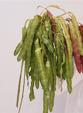 藤条豆角绿植装饰插花配材塑料