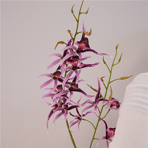 雪莉仿真兰花蜘蛛兰单枝禅意花卉