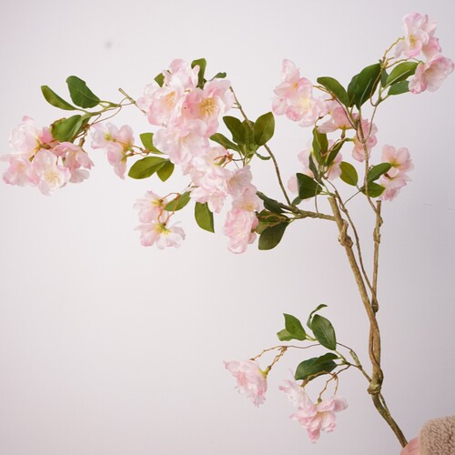 高品质樱花树枝软装陈设摄影