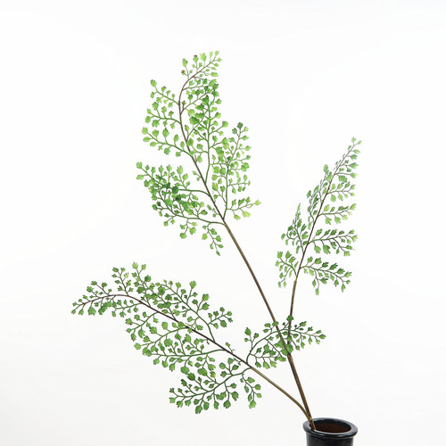 超手感铁线蕨黑骨芒繁茂仿真绿植