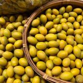 新鲜黄橄榄檀香甘香潮汕金灶老树金黄煮汤泡酒孕妇水果天然生青果