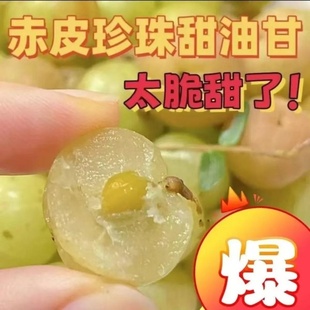 潮汕崩坎甜油甘果柿饼新鲜油柑果余甘果丙甜油甘0添加孕妇水果