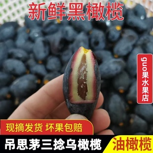 正宗潮汕特产船埔新联村新鲜现摘老树吊思茅三捻乌橄榄三棱乌橄榄