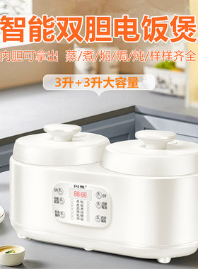 智能双胆双控电饭煲家用大容量1-2-3-4-5L人吃饭多功能电饭锅煮饭