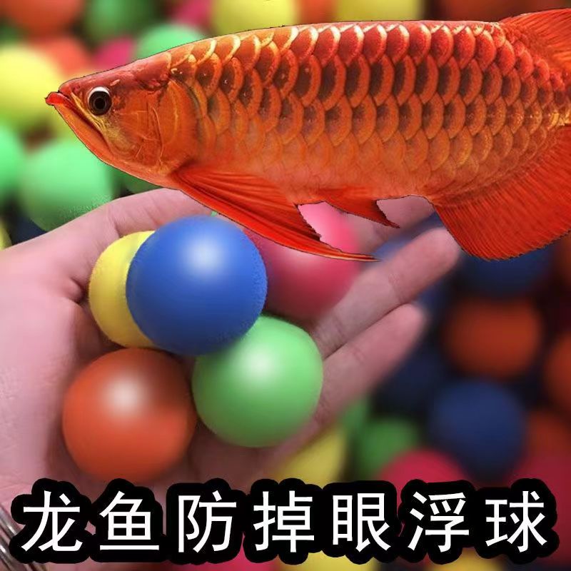 龙鱼防掉眼浮球鱼缸用品逗鱼神器玩具水族箱造景装饰水面彩色浮球