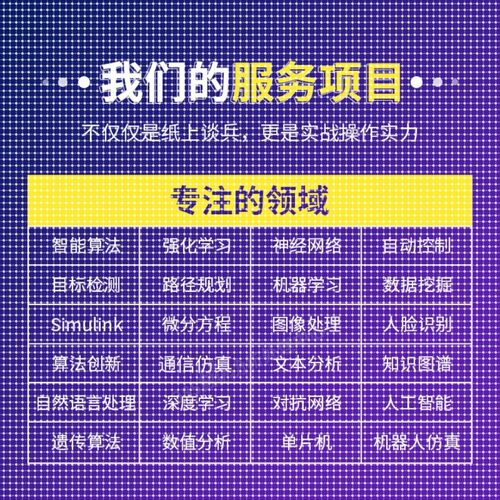 Matlab程序代编微分方程python代编算法优化控制电气仿真图像处理