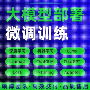 python代编程大模型微调训练Llama2环境配置代码 代跑深度学习指导
