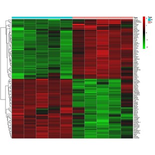 实验设计外包病理检测生信分析服务