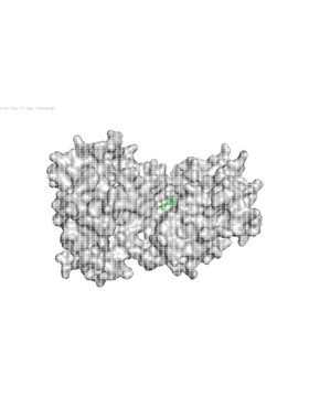分子对接 分子动力学模拟 Autodock分子对接 PyMOL可视化