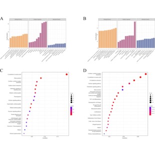 GEO数据环状RNA芯片数据挖掘
