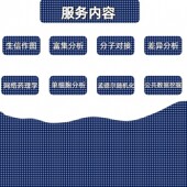 单细胞空间转录组机器学习人工智能深度学习比较基因组学分析